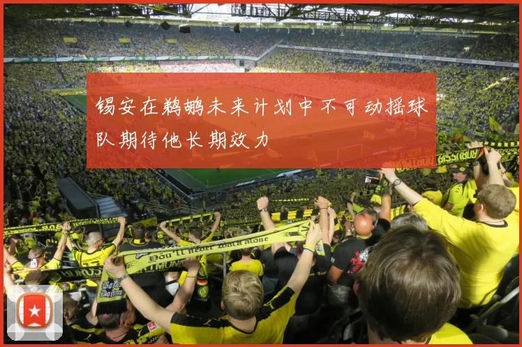 锡安在鹈鹕未来计划中不可动摇球队期待他长期效力