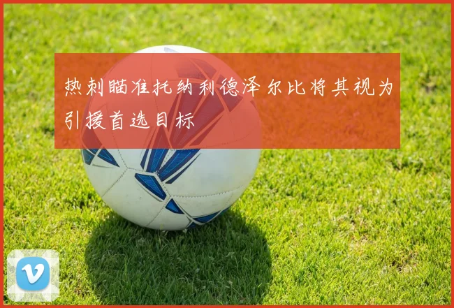 热刺瞄准托纳利德泽尔比将其视为引援首选目标