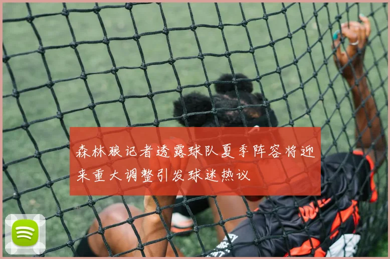 森林狼记者透露球队夏季阵容将迎来重大调整引发球迷热议